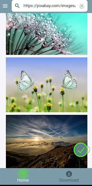 Play Image Browser as an online game Image Browser with UptoPlay