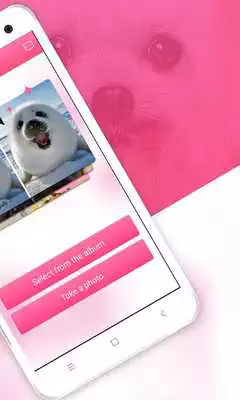 Play Image eraser