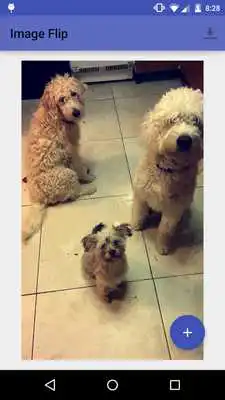 Play Image Flip