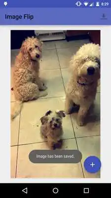 Play Image Flip