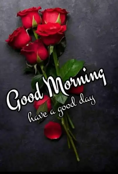 Play image Good Morning and Good Night  and enjoy image Good Morning and Good Night with UptoPlay
