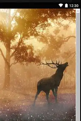 Play Imagenes con Poemas