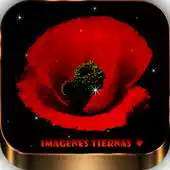 Free play online Imagenes De Amor Tiernas 4K APK