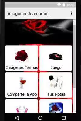 Play Imagenes De Amor Tiernas 4K