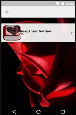 Play Imagenes De Amor Tiernas 4K