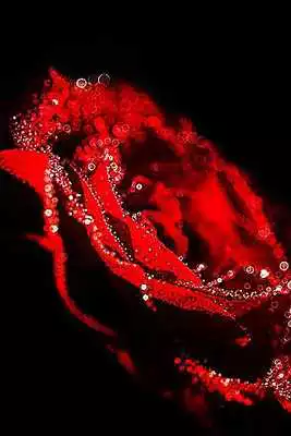 Play Imagenes De Amor Tiernas 4K