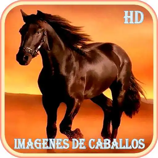Play Imagenes de Caballos APK