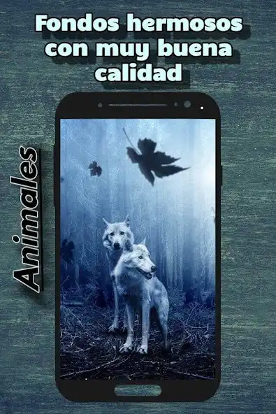 Play Imagenes de fondos de pantalla  and enjoy Imagenes de fondos de pantalla with UptoPlay
