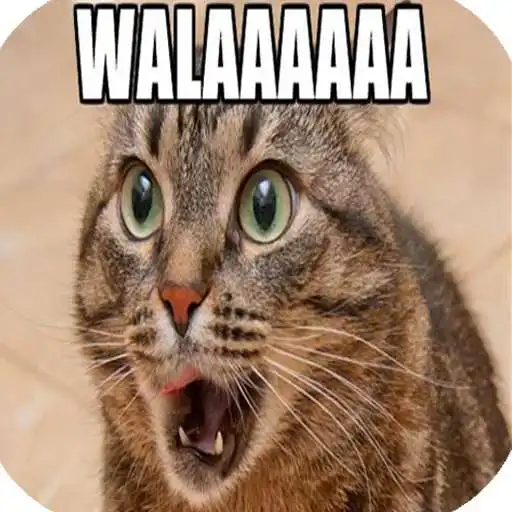Free play online imagenes de humor APK Free play online imagenes de humor APK