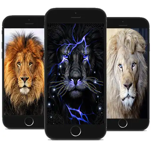 Play Imagenes de Leones APK