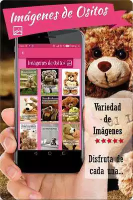 Play Imagenes de ositos con frases de amor, amistad App