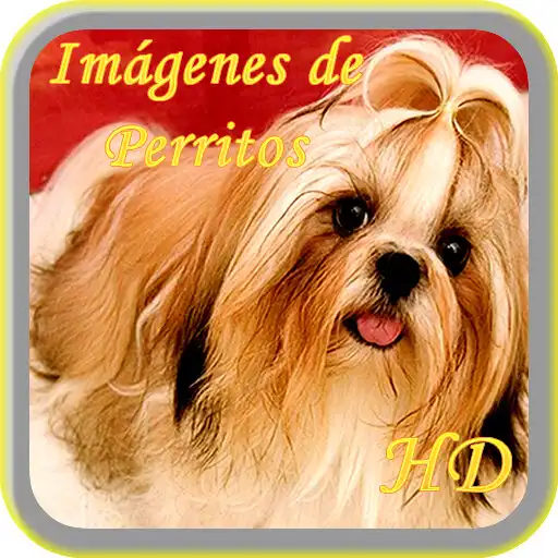 Play Imagenes de Perritos HD APK Play Imagenes de Perritos HD APK