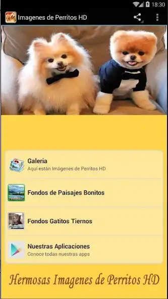 Play Imagenes de Perritos HD  and enjoy Imagenes de Perritos HD with UptoPlay
