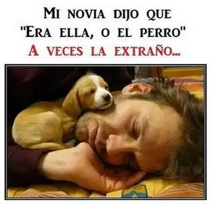 Play Imagenes de risa y chistosas