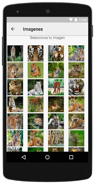 Play Imagenes de Tigres as an online game Imagenes de Tigres with UptoPlay