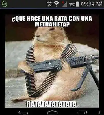 Play Imagenes de todo un poco