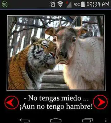 Play Imagenes de todo un poco