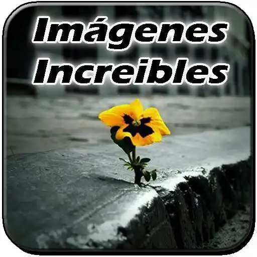 Free play online Imagenes increibles APK