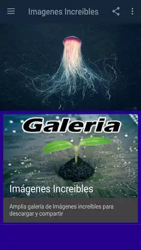 Play Imagenes increibles