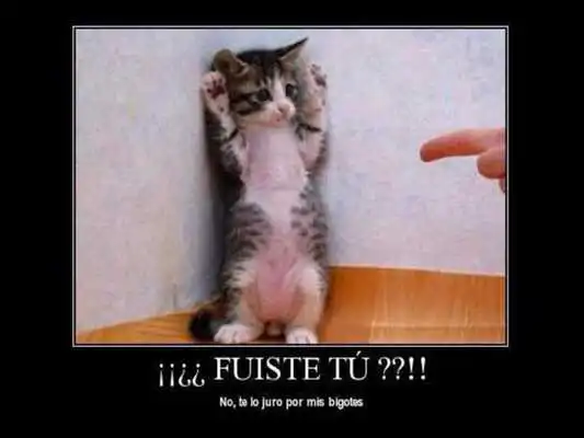 Play Imagenes increibles