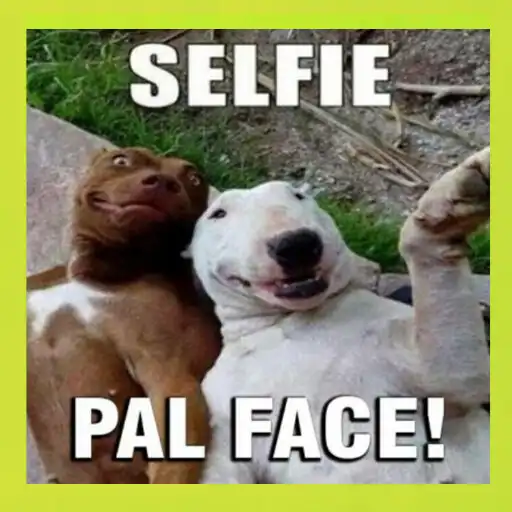 Play Imagenes para Whatsapp de risa APK