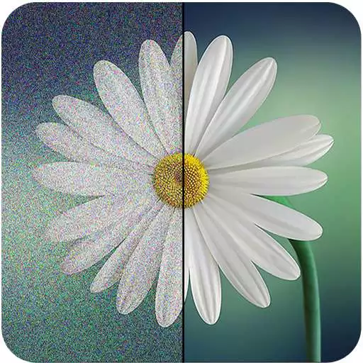 Run free android online Image Noise Remover & Enhancer APK Run free android online Image Noise Remover & Enhancer APK