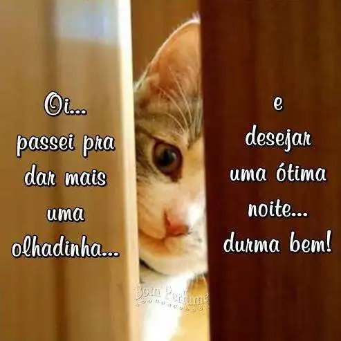Play Imagens e Frases de Boa Noite Play Imagens e Frases de Boa Noite