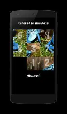 Play Image Puzzle Classic
