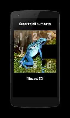 Play Image Puzzle Classic