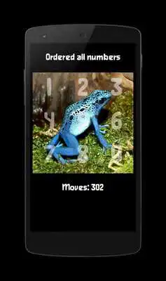 Play Image Puzzle Classic