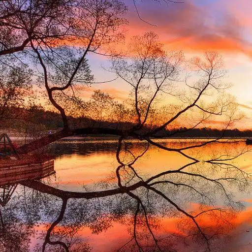 Play Image Puzzle - Nature APK