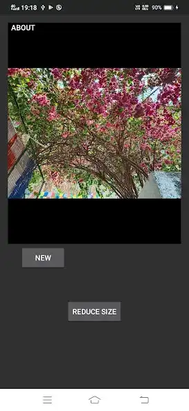Play Image Size Reducer - ImageTool as an online game Image Size Reducer - ImageTool with UptoPlay