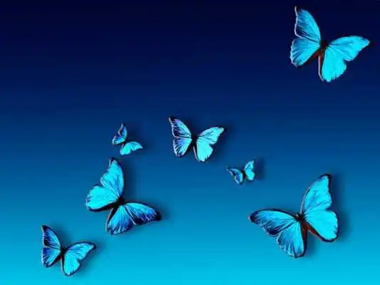 Play Image Wallpapers