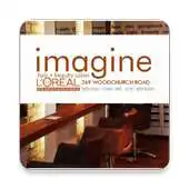 Free play online Imagine Hair and Beauty APK