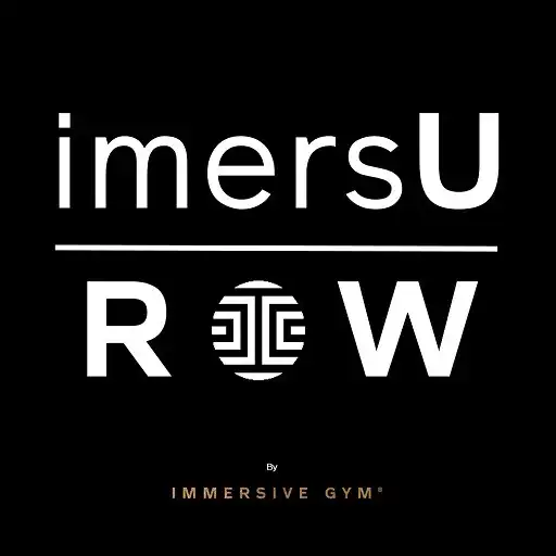 Play ImersU Companion APK