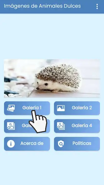 Play Imágenes de Animales Lindos.  and enjoy Imágenes de Animales Lindos. with UptoPlay