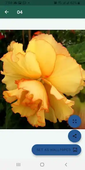 Play Imágenes de flores hermosas as an online game Imágenes de flores hermosas with UptoPlay