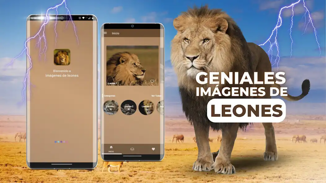 Play Imágenes de leones  and enjoy Imágenes de leones with UptoPlay