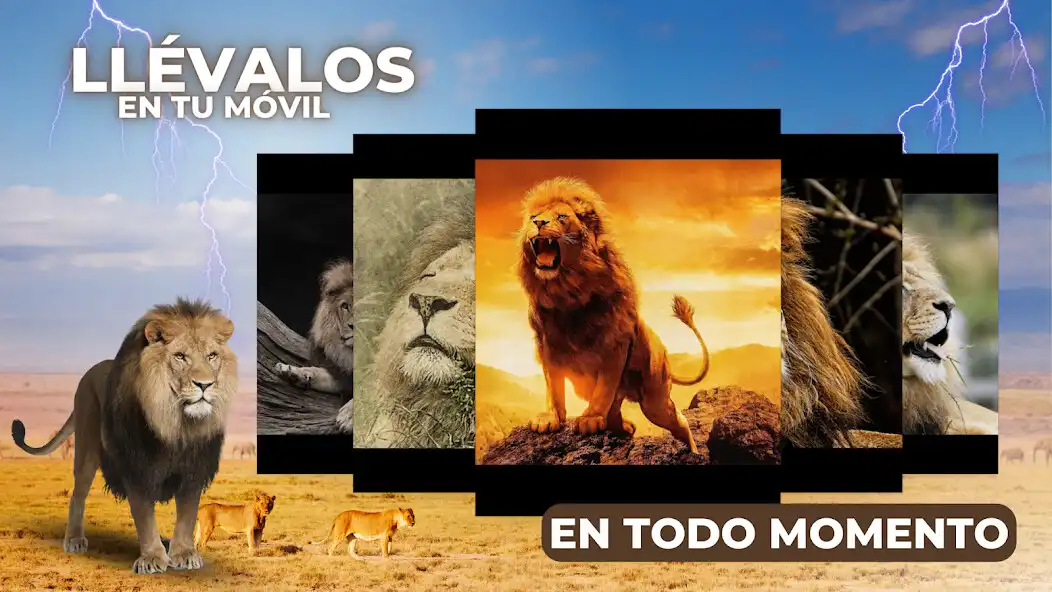 Play Imágenes de leones as an online game Imágenes de leones with UptoPlay