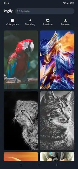 Play Imgify - HD, 4K Wallpapers  and enjoy Imgify - HD, 4K Wallpapers with UptoPlay