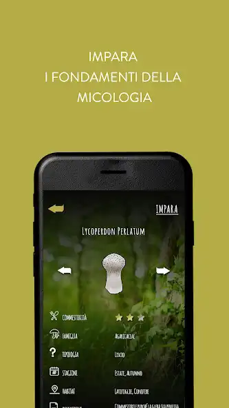 Play iMico and enjoy iMico with UptoPlay Play iMico and enjoy iMico with UptoPlay