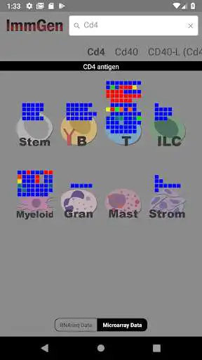 Play ImmGen as an online game ImmGen with UptoPlay
