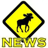 Free play online Immigrer.com NEWS APK