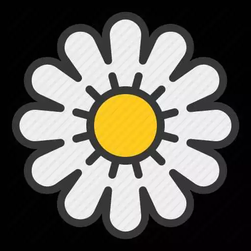 Play Impatiens wallerana APK Play Impatiens wallerana APK
