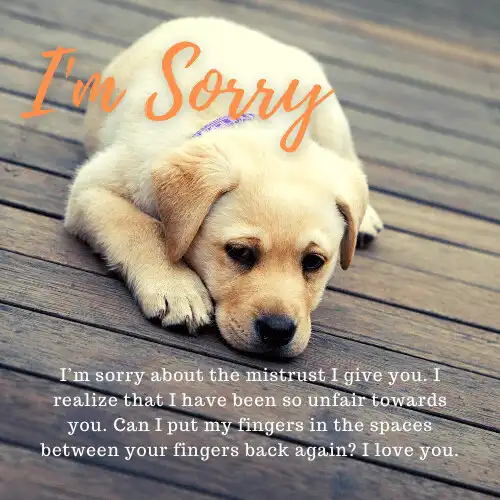 Play Im Sorry Messages  and enjoy Im Sorry Messages with UptoPlay
