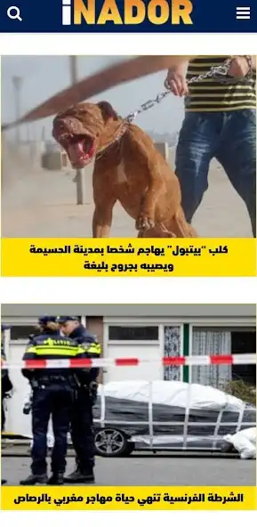 Play i NADOR and enjoy i NADOR with UptoPlay Play i NADOR and enjoy i NADOR with UptoPlay