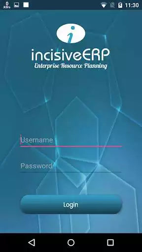 Play IncisiveERP