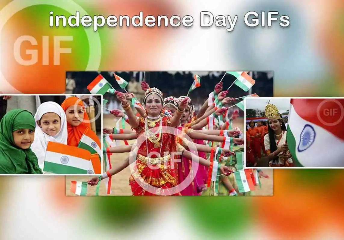 Play Independence Day GIFs:15th August GIFs