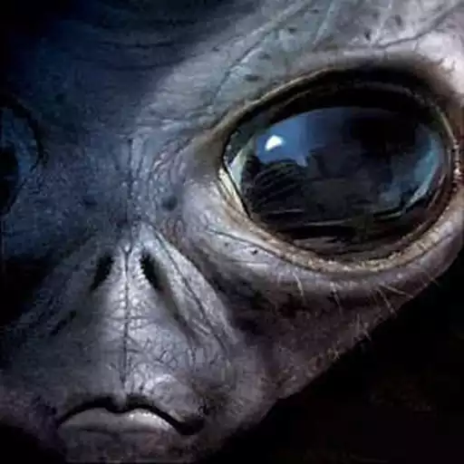 Play Independence Day APK
