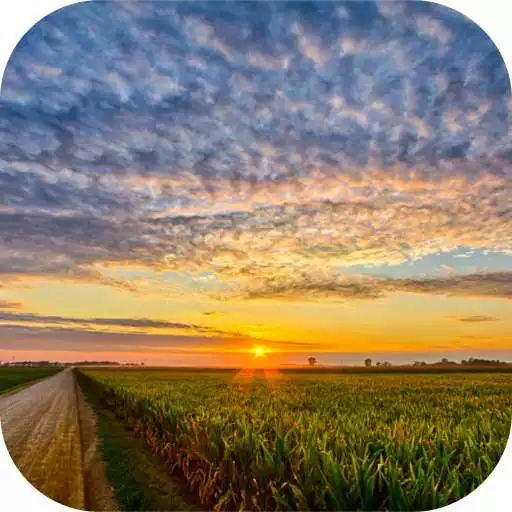 Play Indiana Local News APK